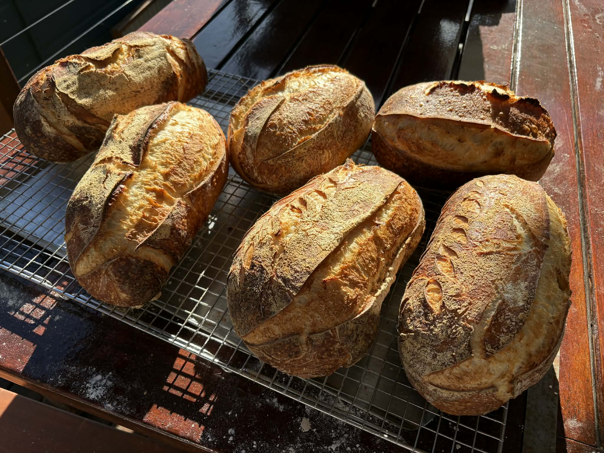 Classic White Sourdough