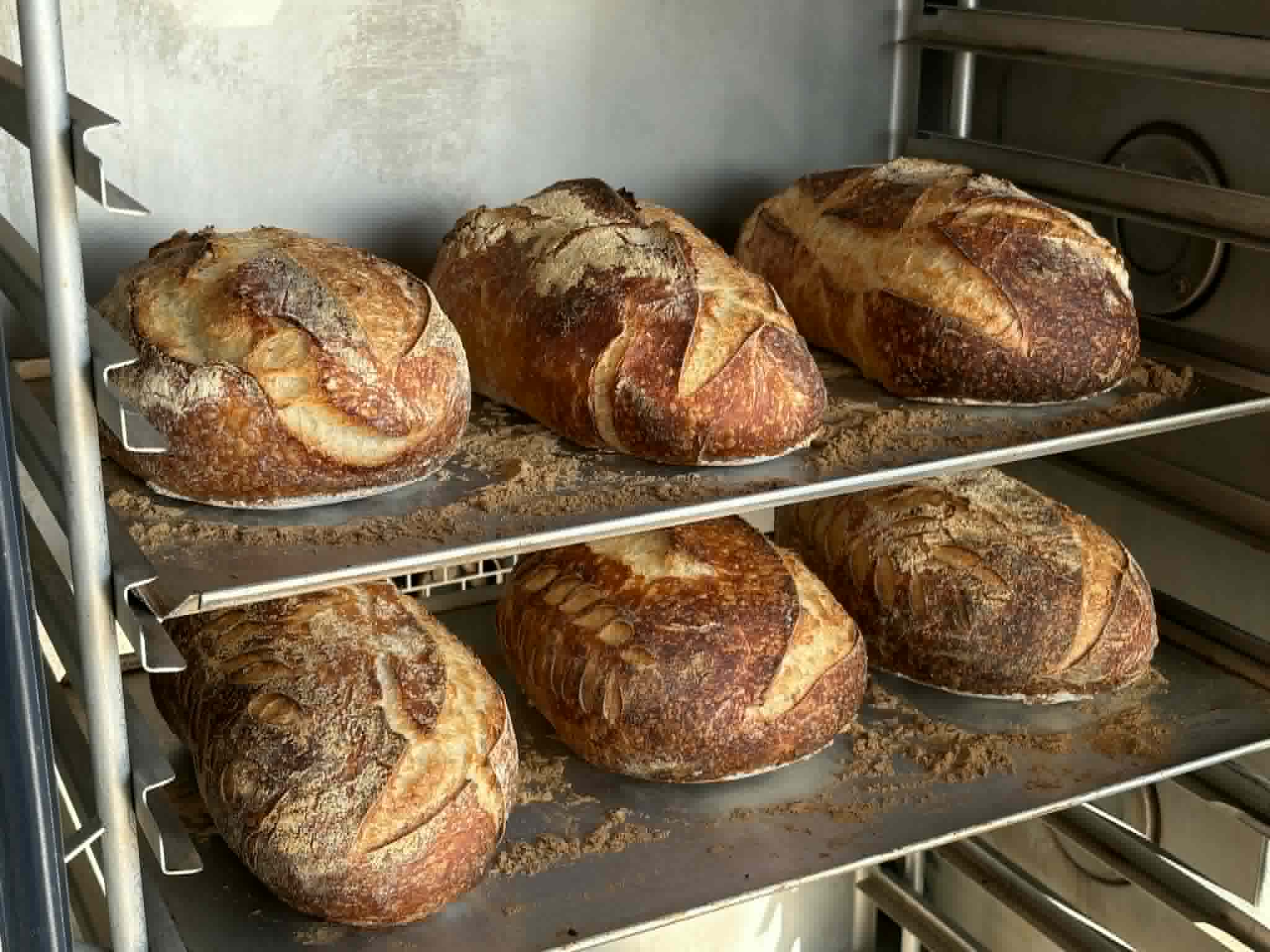 Rustic Rye Sourdough